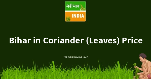 Coriander (Leaves) भाव